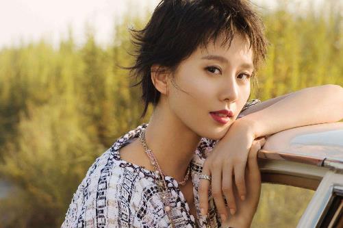 中國十大素顏美女排行榜,王麗坤堪稱素顏女神