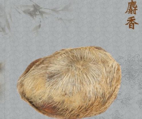 世界十大名貴藥材排名,藏紅花、人參的價格都很高