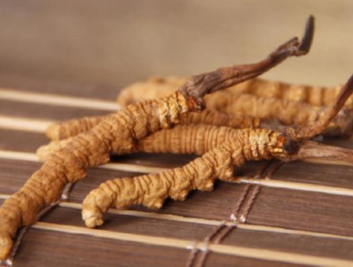 世界十大名貴藥材排名,藏紅花、人參的價格都很高