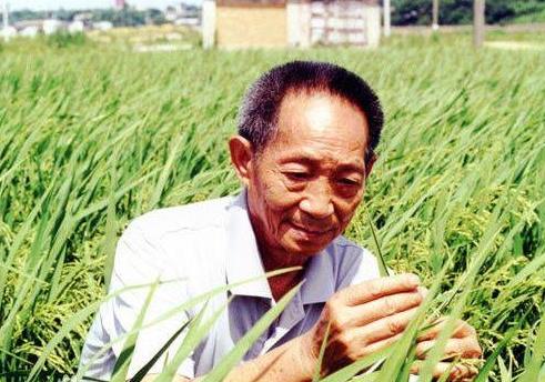 百度沸點(diǎn)2019十大年度人物,屠呦呦被稱為20世紀(jì)最偉大科學(xué)家之一