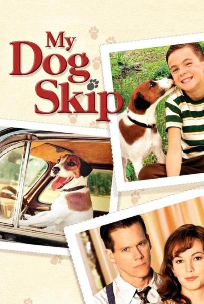 2019十大感人狗狗電影,忠犬八公的故事令人落淚,叢林赤子心很經(jīng)典