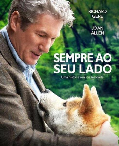 2019十大感人狗狗電影,忠犬八公的故事令人落淚,叢林赤子心很經(jīng)典