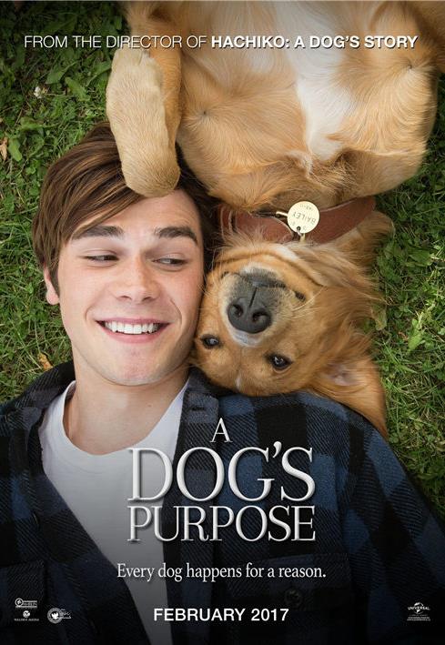 2019十大感人狗狗電影,忠犬八公的故事令人落淚,叢林赤子心很經(jīng)典