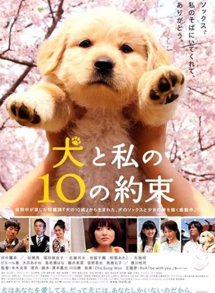 2019十大感人狗狗電影,忠犬八公的故事令人落淚,叢林赤子心很經(jīng)典