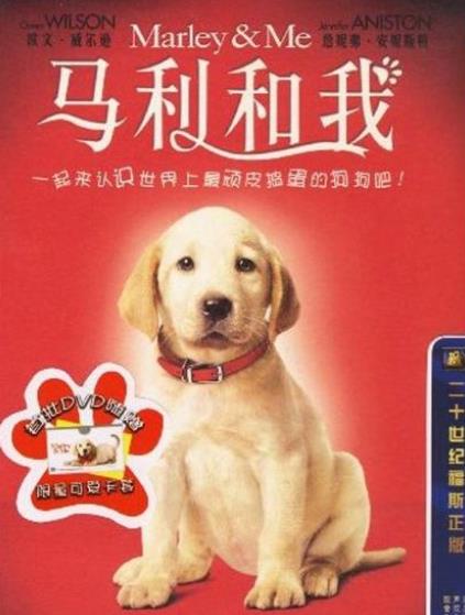 2019十大感人狗狗電影,忠犬八公的故事令人落淚,叢林赤子心很經(jīng)典