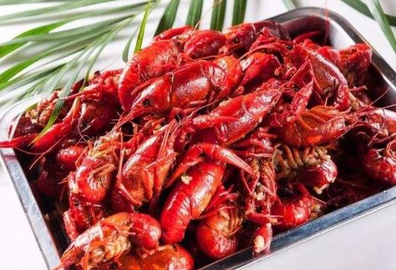 餓了么世界杯夜宵城市數據排名:夜宵城市上海榜首 京杭深緊隨其后