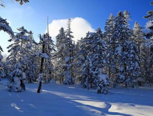 國內冬天適合度假的八個地方,哈爾濱是冰雪之城,北京歷史悠久有魅力