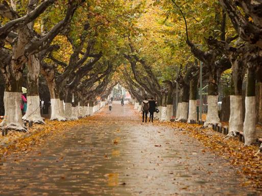 2020年十大中國十大音樂學院,中央音樂學院、中國音樂學院師資力量雄厚