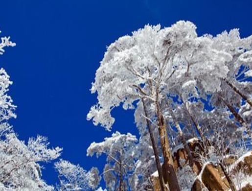 國內冬天適合度假的八個地方,哈爾濱是冰雪之城,北京歷史悠久有魅力
