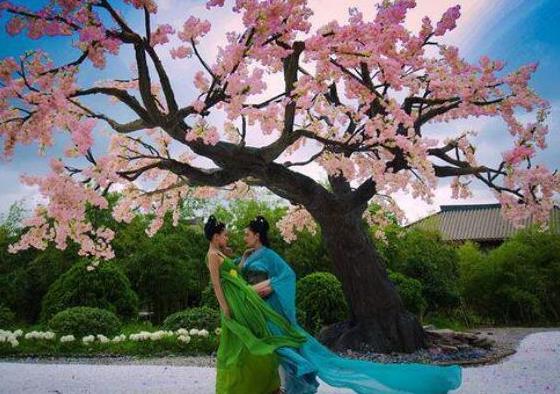 中國最經(jīng)典十大穿越劇,尋秦記、步步驚心的人氣很高值得收藏