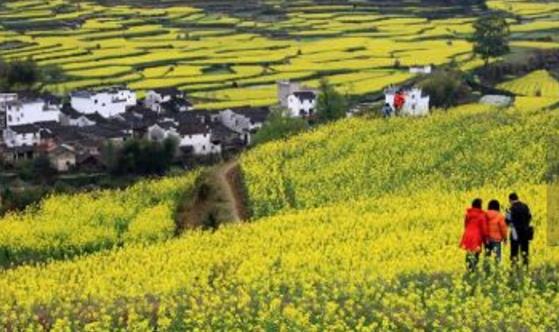 江西十大旅游景點排行榜 江西有什么好玩的地方去旅游