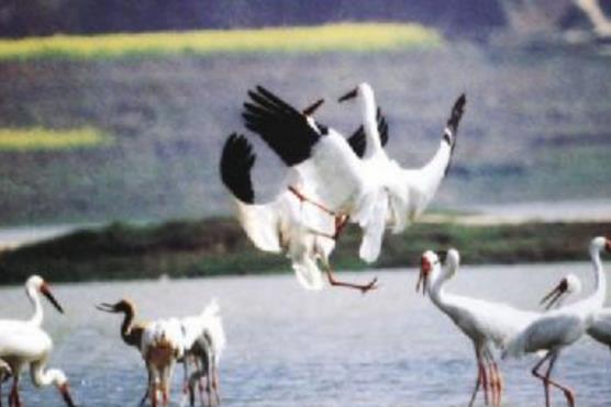 江西十大旅游景點排行榜 江西有什么好玩的地方去旅游