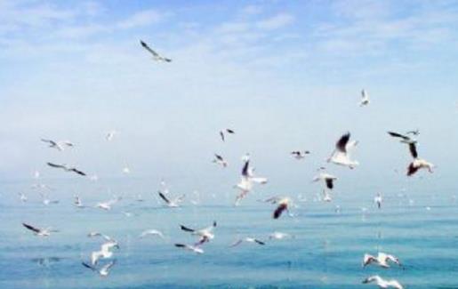 新疆十大旅游景點排行榜 新疆有什么好玩的地方去旅游