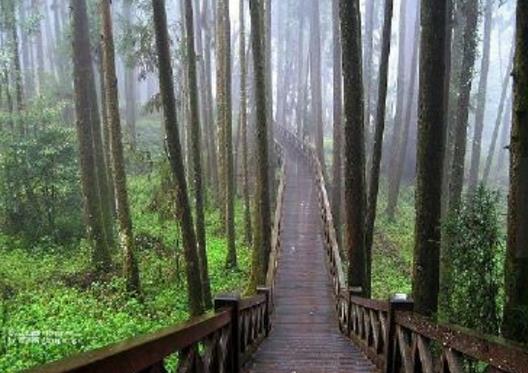 臺(tái)灣十大旅游景點(diǎn)排行榜 臺(tái)灣有什么好玩的地方去旅游