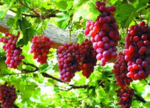 新疆十大旅游景點排行榜 新疆有什么好玩的地方去旅游