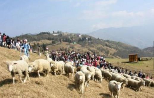 臺(tái)灣十大旅游景點(diǎn)排行榜 臺(tái)灣有什么好玩的地方去旅游