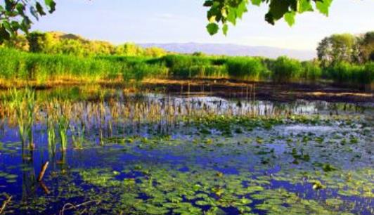新疆十大旅游景點排行榜 新疆有什么好玩的地方去旅游