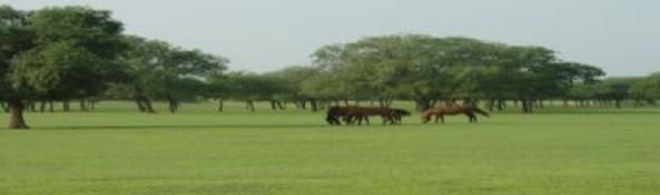 內(nèi)蒙古錫林郭勒盟十大旅游景點(diǎn)排行榜 錫林郭勒盟有什么好玩的地方去旅游