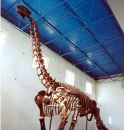 內(nèi)蒙古錫林郭勒盟十大旅游景點(diǎn)排行榜 錫林郭勒盟有什么好玩的地方去旅游