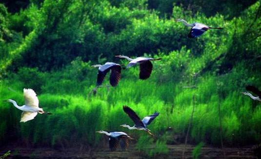 黑龍江省雞西十大旅游景點排行榜 雞西有什么好玩的地方
