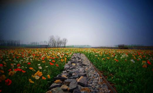 江蘇省宿遷市十大旅游景點排行榜 宿遷有什么好玩的地方