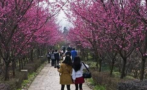 四川省成都市十大旅游景點排行榜 成都有什么好玩的地方