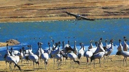 云南省昭通市十大旅游景點(diǎn)排行榜 昭通有什么好玩的地方