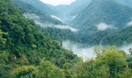 云南省文山市十大旅游景點排行榜 文山有什么好玩的地方