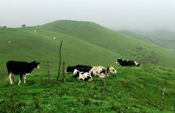 湖南省邵陽(yáng)市十大旅游景點(diǎn)排行榜 邵陽(yáng)有什么好玩的地方