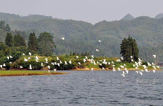 湖南省益陽市十大旅游景點排行榜 益陽有什么好玩的地方