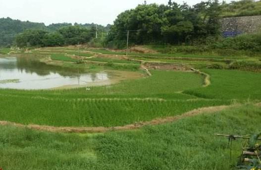 湖南省湘潭市十大旅游景點排行榜 湘潭有什么好玩的地方
