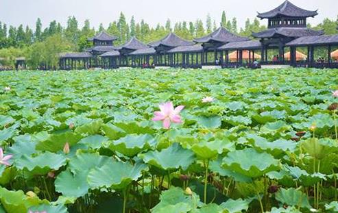 廣東省佛山市十大旅游景點(diǎn)排行榜 佛山有什么好玩的地方