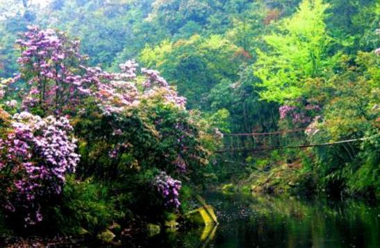 廣西省南寧市十大旅游景點排行榜 南寧有什么好玩的地方