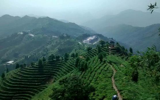 廣西省百色市十大旅游景點(diǎn)排行榜 百色有什么好玩的地方