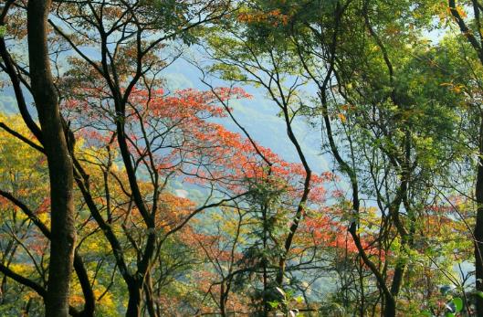 廣西省百色市十大旅游景點(diǎn)排行榜 百色有什么好玩的地方