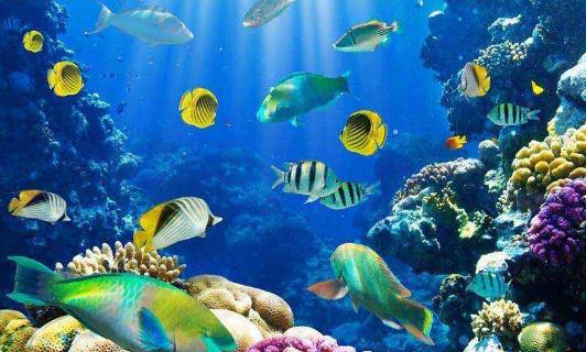 廣西省北海市十大旅游景點排行榜 北海有什么好玩的地方