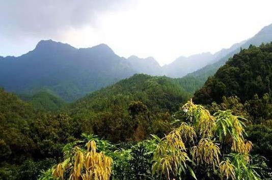 海南省昌江市十大旅游景點排行榜 昌江有什么好玩的地方