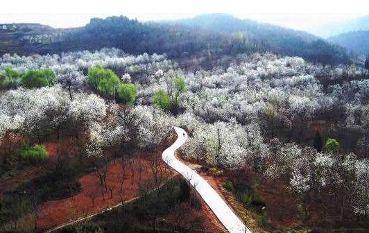 陜西省西安市十大旅游景點排行榜 西安有什么好玩的地方