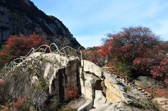 陜西省西安市十大旅游景點排行榜 西安有什么好玩的地方