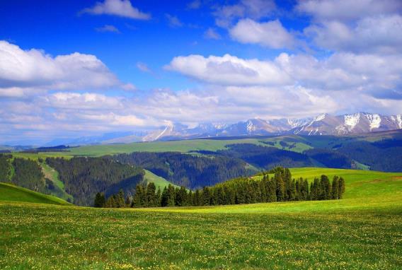 新疆省伊犁市十大旅游景點(diǎn)排行榜 伊犁有什么好玩的地方