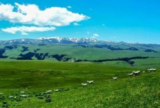 新疆省伊犁市十大旅游景點(diǎn)排行榜 伊犁有什么好玩的地方