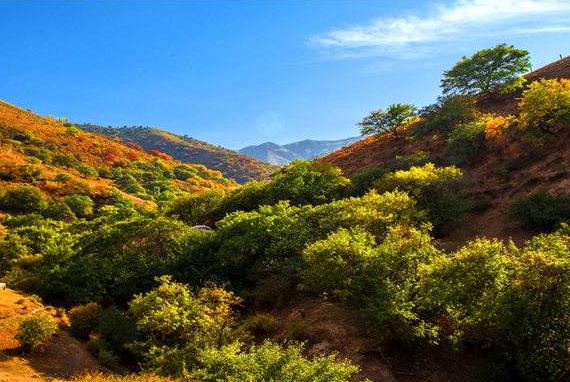 新疆省伊犁市十大旅游景點(diǎn)排行榜 伊犁有什么好玩的地方