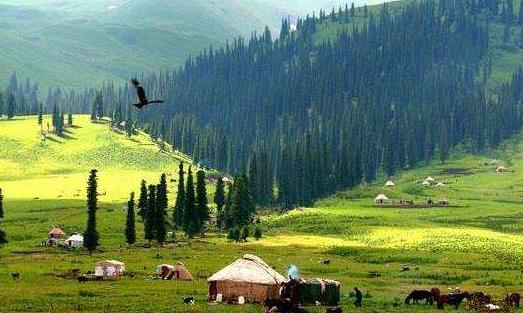 新疆省伊犁市十大旅游景點(diǎn)排行榜 伊犁有什么好玩的地方