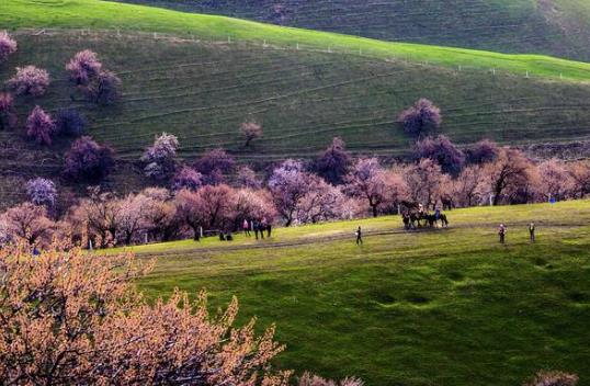 新疆省伊犁市十大旅游景點(diǎn)排行榜 伊犁有什么好玩的地方