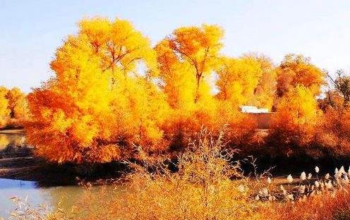 新疆省巴音郭楞十大旅游景點排行榜 巴音郭楞有什么好玩的地方