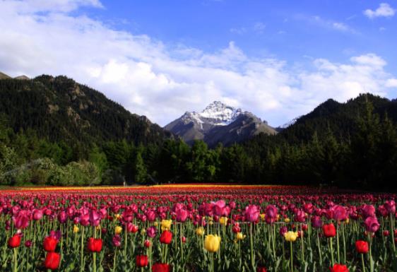 新疆省塔城市十大旅游景點排行榜 塔城市有什么好玩的地方