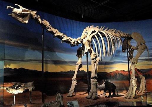 新疆省吐魯番市十大旅游景點排行榜 吐魯番有什么好玩的地方