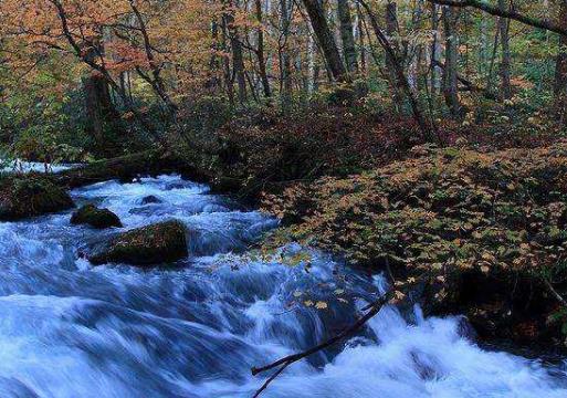 日本青森縣十大旅游景點排行榜 青森縣有什么好玩的地方