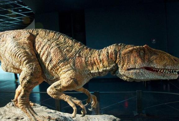 日本福井縣八大旅游景點(diǎn)排行榜 福井縣有什么好玩的地方