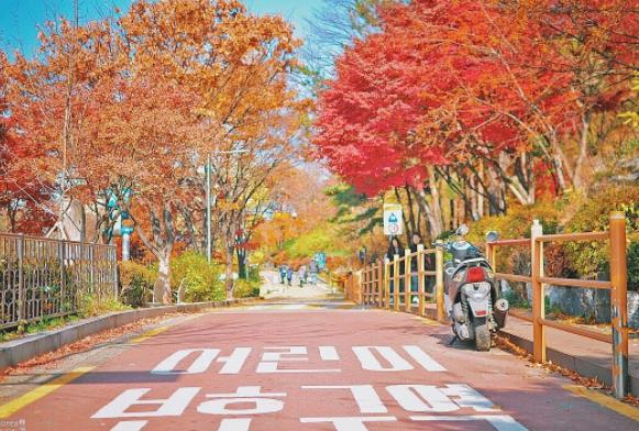 韓國十大旅游景點排行榜 韓國有什么好玩的地方